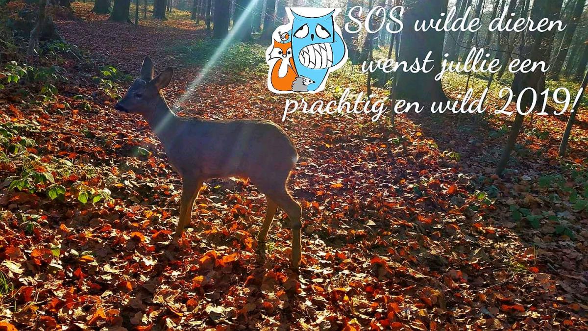 nieuwjaarswensen sos wilde dieren