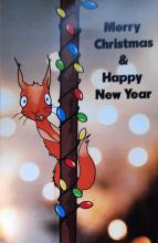 kerst en nieuwjaarskaartje