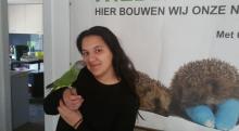 bonte boertje terug bij eigenaar