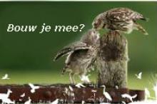 foto bouw je mee
