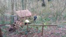 vrijwilligers helpen stormschade te herstellen