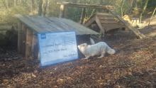 donatiecheque wordt bekeken door de poolvossen