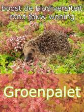 reclame groenpalet