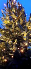 voederbollen doen dienst als kerstbal in de kerstboom buiten