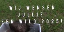 nieuwjaarswens 2025