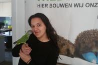bonte boertje terug bij eigenaar