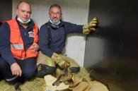 Brandweer Brussel redt reebokje