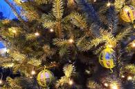 voederbollen doen dienst als kerstbal in de kerstboom buiten
