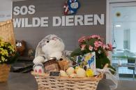 pascadeau in winkeltje SOS