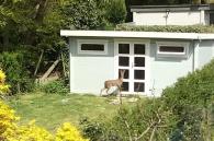 ree in tuin