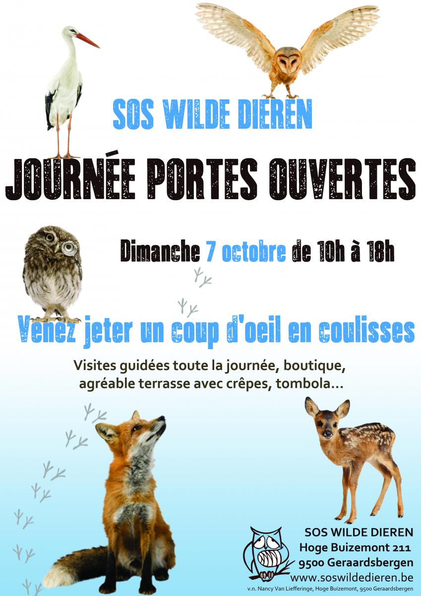 affiche  journée portes ouvertes